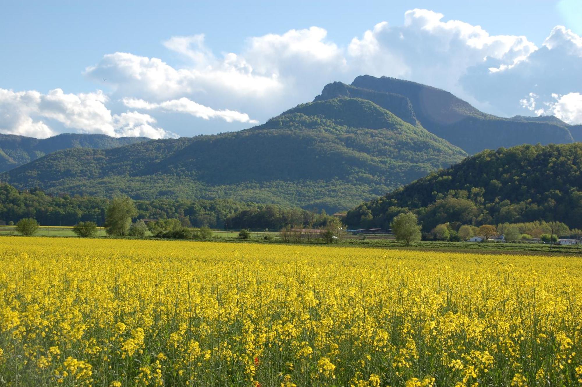 Séjour à la campagne Mas Garganta