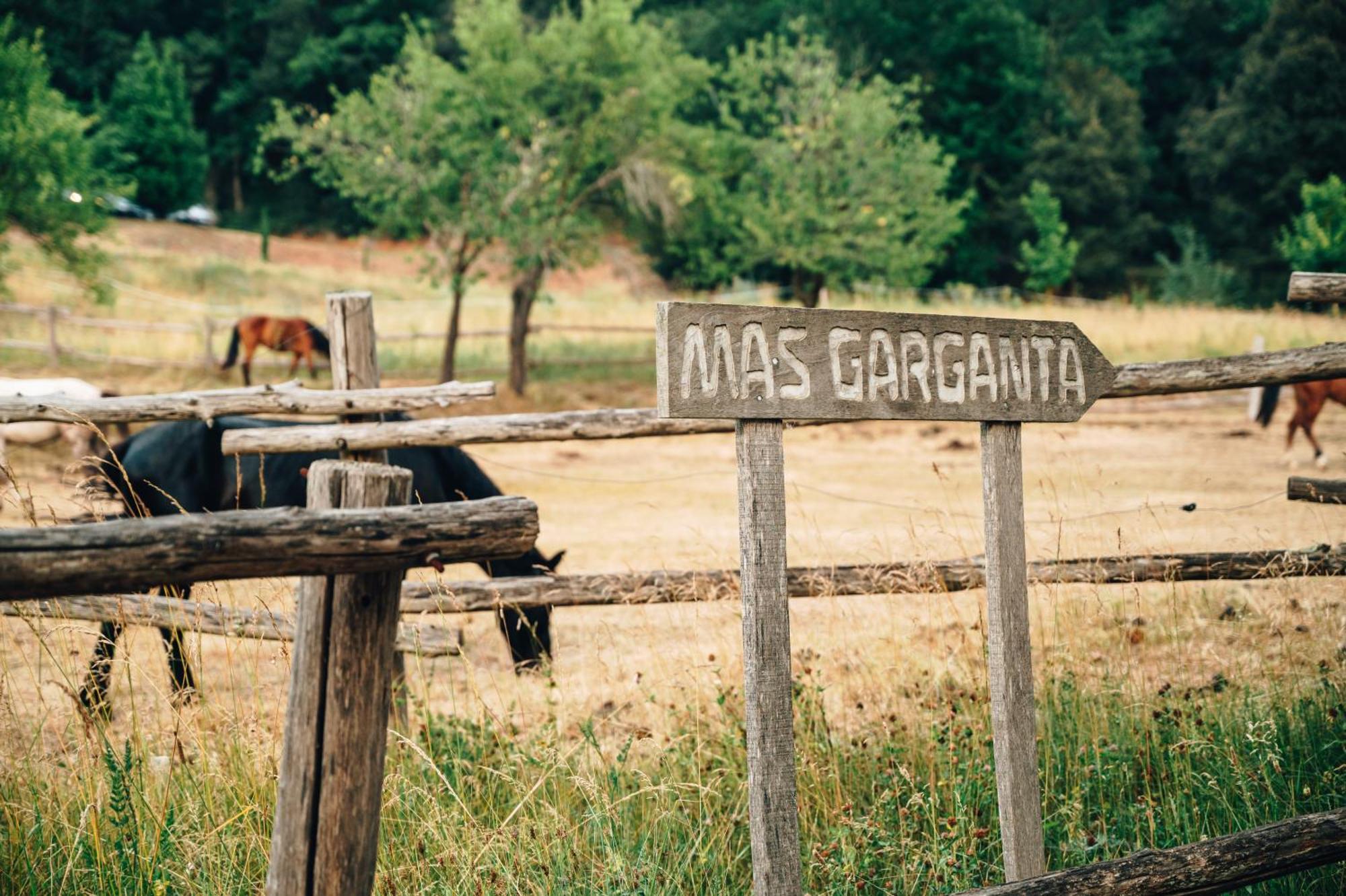 Mas Garganta